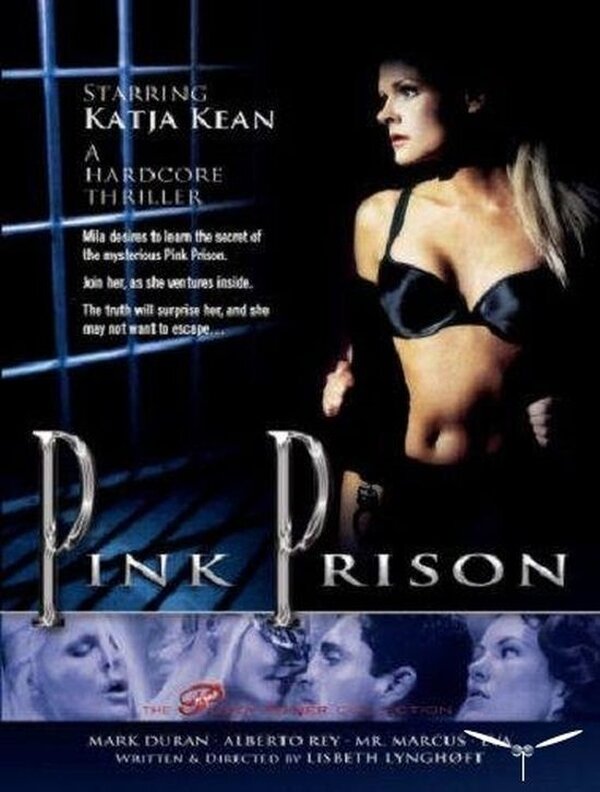 Смотреть Розовая тюрьма (1999) на шдрезка
