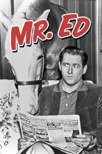 Смотреть hdrezka Мистер Эд (1958) онлайн в HD качестве 