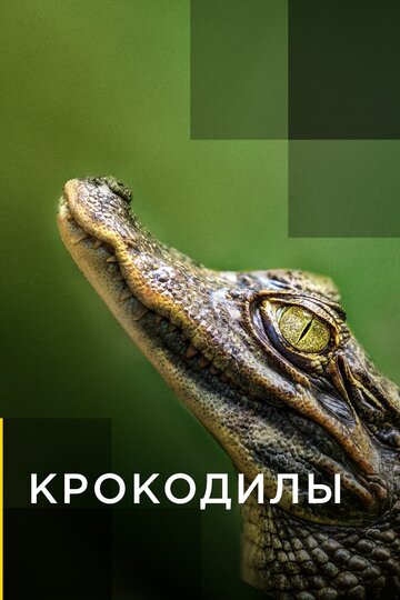 Смотреть Крокодилы (2019) онлайн в Хдрезка качестве 720p
