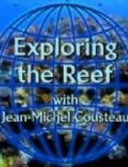 Смотреть Изучение рифов (2003) онлайн в HD качестве 720p