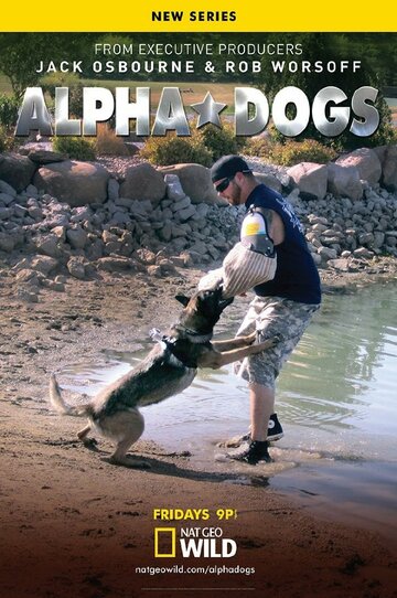 Смотреть Собаки альфа (2013) онлайн в Хдрезка качестве 720p