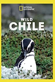 Смотреть Wild Chile (2018) онлайн в Хдрезка качестве 720p