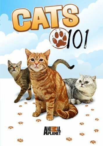 Смотреть Энциклопедия кошек (2008) онлайн в Хдрезка качестве 720p