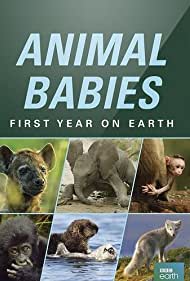 Смотреть Animal Babies: First Year on Earth (2019) онлайн в Хдрезка качестве 720p