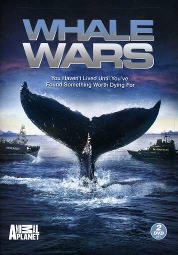 Смотреть Китовые войны (2008) онлайн в Хдрезка качестве 720p