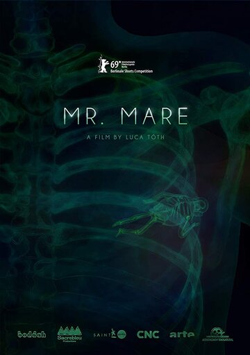 Смотреть Мистер Маре (2019) онлайн в HD качестве 720p