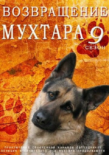 Смотреть Возвращение Мухтара 9 (2013) онлайн в Хдрезка качестве 720p