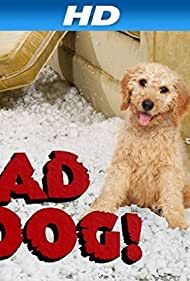 Смотреть Плохой пёс (2010) онлайн в Хдрезка качестве 720p