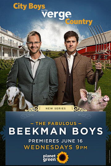 Смотреть The Fabulous Beekman Boys (2010) онлайн в Хдрезка качестве 720p