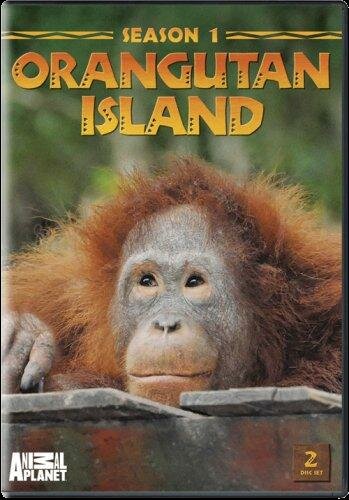 Смотреть Остров орангутанов (2007) онлайн в Хдрезка качестве 720p