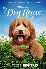 Смотреть The Dog House (2019) онлайн в Хдрезка качестве 720p