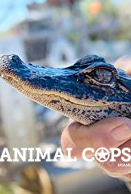 Смотреть Полиция Майами: Отдел по защите животных (2010) онлайн в Хдрезка качестве 720p